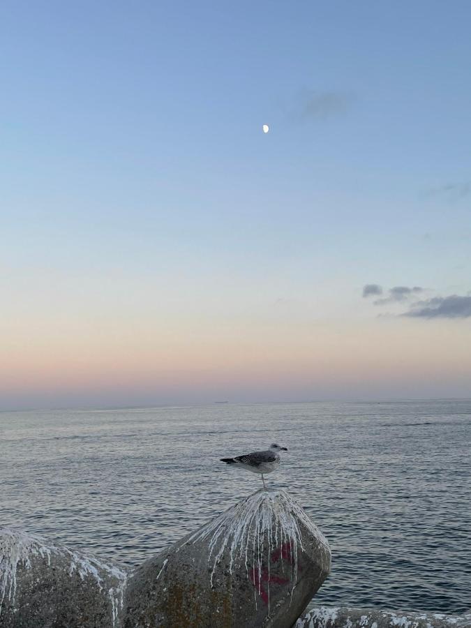 O Som Das Ondas - Vista Soberba De Mar Sesimbra Extérieur photo